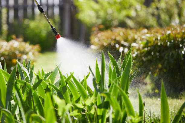 24/7 Emergency Mosquito Control experts in Delphi, IN
